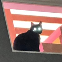 hoon (@cupofseriousmud) 's Twitter Profile Photo hoon (@cupofseriousmud) 's Twitter Profile Photo