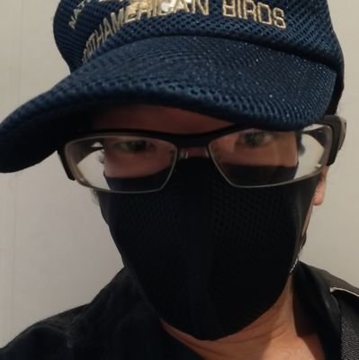 はじめまして、名探偵コナンとワンピースが好きです(笑) ちなみにナルトも好きだよ!
94年1月生まれ
よかったらよろしく