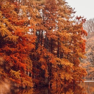 Un peu de féminisme intersectionnel et beaucoup de colère 🍃
Drôle de ligne éditoriale