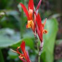 Elda Pérez Sánchez - @eldasocorrosanc - Twitter