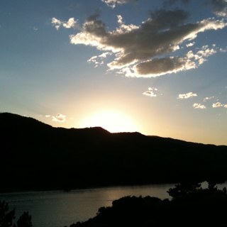 meldyo1's profile picture. 