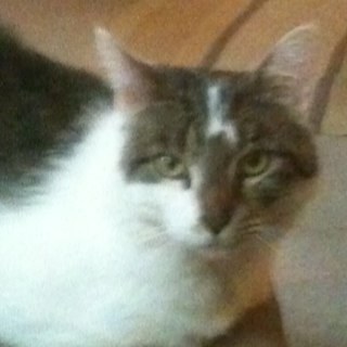 red5hunt's profile picture. The last of B I G!!