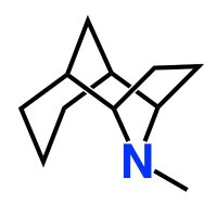 Raja Angamuthu (@rajaangamuthu) 's Twitter Profile