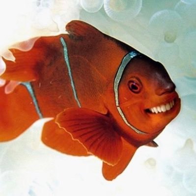 沈さんのプロフィール画像