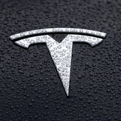 TeslaLove6's profile picture. Tesla Lover