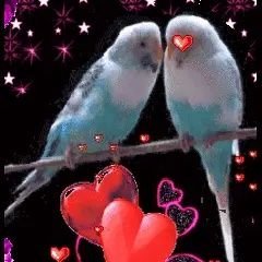 RVmX7MHTC8Ybi8k's profile picture. 