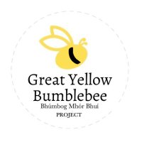 Great Yellow Bumblebee Project (@gyb_project) 's Twitter Profile Photo Great Yellow Bumblebee Project (@gyb_project) 's Twitter Profile Photo