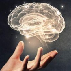 Love studying Neuroscience & Psychology and just learning in general.