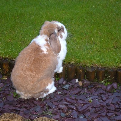 kenl09566204's profile picture. Business Development Manager, Medical Devices