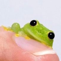 Funny1beast's profile picture. what’s 9+10? Twunny1