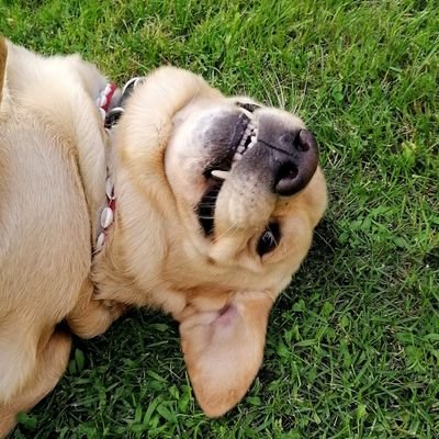 timceti's profile picture. I'm a genie in a bottle 💁‍♀️