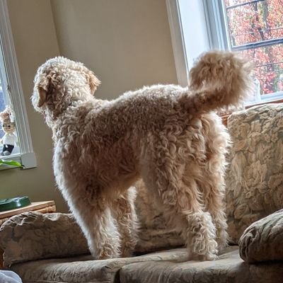 Julz_March's profile picture. 