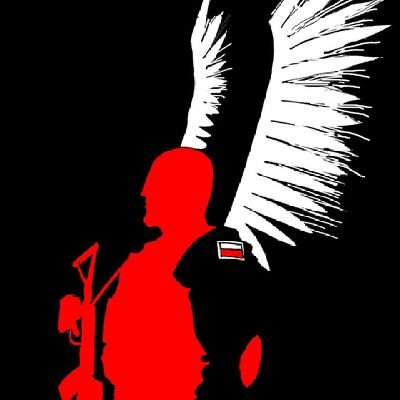 Micha97400104's profile picture. Non omnis moriar
