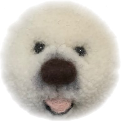 じゅけさんのプロフィール画像