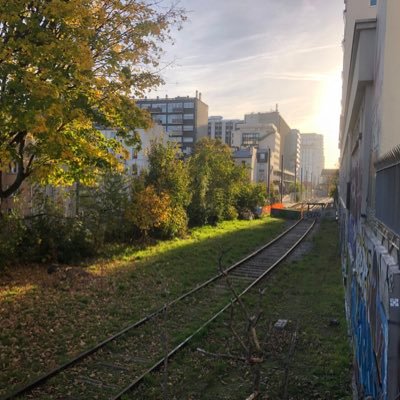 La Petite Ceinture de Paris est vivante. Chemin Vert et chemin de fer. Espace urbain unique aux pratiques et usages si variés ...