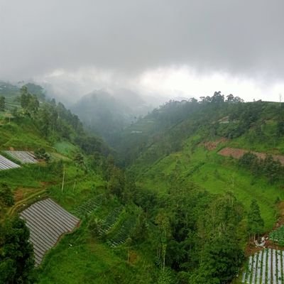 Masyarakat guyub suka hajatan dan kerja bakti. Berbudaya, dan harmonis. Kadang-kadang sambil gosip