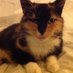 shirley anne smith (@oscarhero1801) Twitter profile photo shirley anne smith (@oscarhero1801) Twitter profile photo