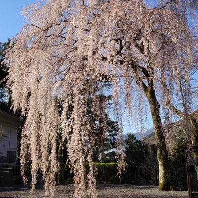 6MExyJLguF65sYI's profile picture. ただの閲覧垢