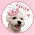 ๐จ ADMlN WYTC ๐จ (@ceritadaegal) Twitter profile photo ๐จ ADMlN WYTC ๐จ (@ceritadaegal) Twitter profile photo