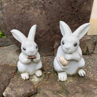 雪音 (@sakura_0305) Twitter profile photo