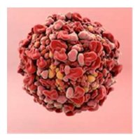 Highlight Therapeutics SL (@highlight_hlt) 's Twitter Profile