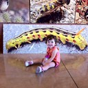 lance thomason - @lance42223 - Twitter