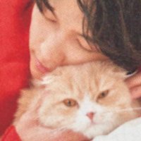 🌻☀️マミオ💎🐈⬛ (@mmcrystaldice) 's Twitter Profile