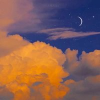 roxcmm (@roxcmm1) 's Twitter Profile