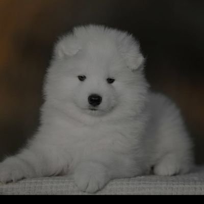 nnaeam324's profile picture. | Faith Love & Hope |