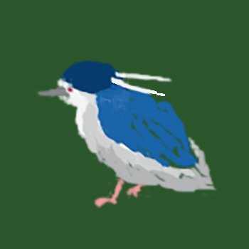 野や森や砂浜を歩いて,鳥,植物(樹木),動物,昆虫を観察。自然全体を観察して,生物のつながりを把握するのが楽しい。
山にも時々行きます。
