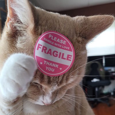 atighaaa's profile picture. Time heals everything ✊