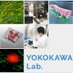 Yokokawa lab/ Kyoto University (@yokokawalab) Twitter profile photo Yokokawa lab/ Kyoto University (@yokokawalab) Twitter profile photo