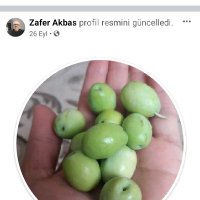Zafer Akbas (@zaferakbas8) Twitter profile photo