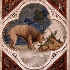 lemaire_FJJJ's profile picture. Même respect pour les multinationales, l'Internationale et les États-nations.