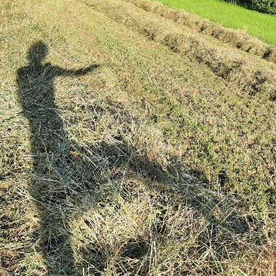 kawa56745's profile picture. Landschaftsarchitektin