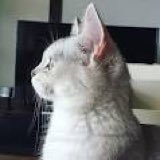 よぴ (@hc4_vaw) Twitter profile photo