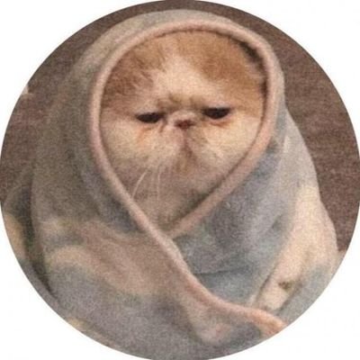 Wizard_Bun's profile picture. что-то на бедном | мгчд | близорукое существо | курить не вредно | данон |