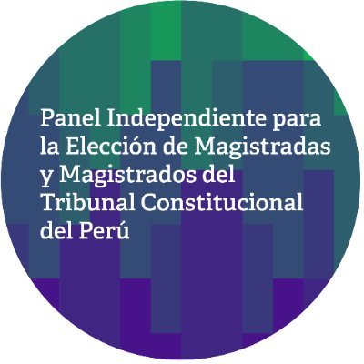 Panel Independiente de Expertos(as) TC Perú