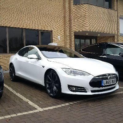 evlaunches's profile picture. Tesla for the win