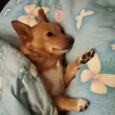 BozenaZaradna's profile picture. 