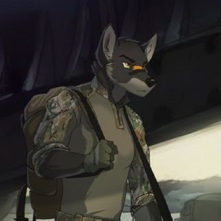 Backup: @RogueRaindancer
33 years old
to avoid LOC
discord: goldwolf119
telegram: RogueRain119
kik: GoldWolf119
for any want an alternate means DM for my 📱#