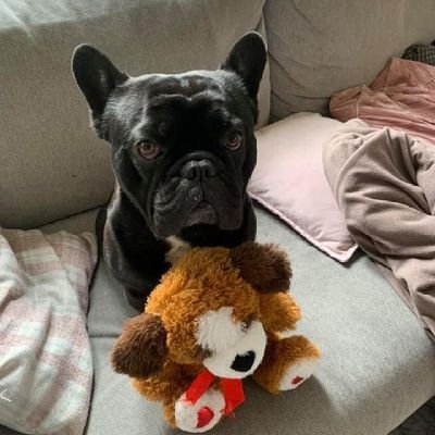 d645f7fc583a4fe's profile picture. aucune