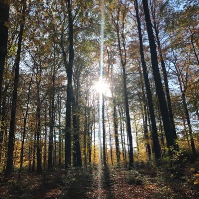 bruckfink's profile picture. Geoscientist | Feminist | Parent (she/her)