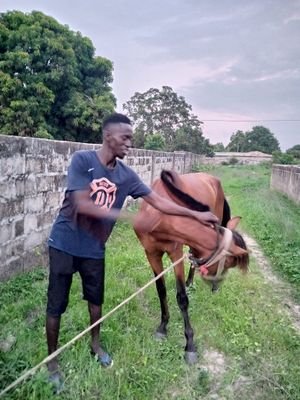 Dawda56115897's profile picture. Living in Africa!!!