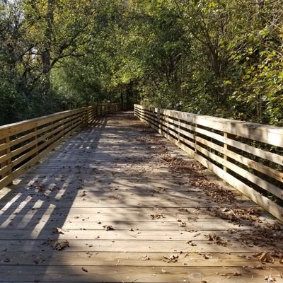 Wizhotbiz's profile picture. 