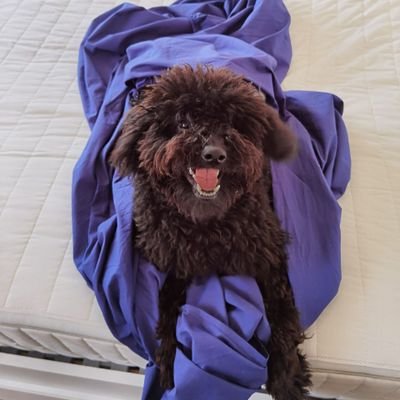 Joe34242787's profile picture. 