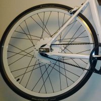 Max FaIb-Forsthuber π¦πΉπΊπ¦π¬π± (@maxolar1) 's Twitter Profile