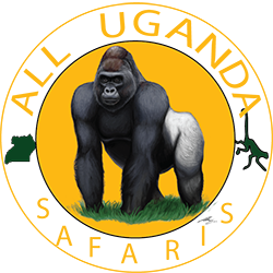 AllUgandaSafari Profile Picture
