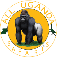 All Uganda Safaris(@AllUgandaSafari) 's Twitter Profile Photo