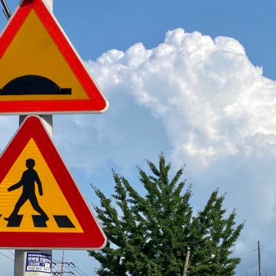 brandnewshin's profile picture. 이 세상의 모든 아름다운 것들에 대해 이야기하고 싶습니다. 담백한 에세이를 쓰고, 좋은 구도의 사진을 찍으며 나이들고 싶습니다.